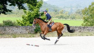 Le galop de qualité avec Michel Robert