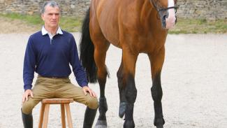 Canaliser l'énergie du cheval sur les 4 pieds