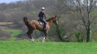 Le changement de pied au galop