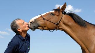 Compréhension et bien-être du cheval