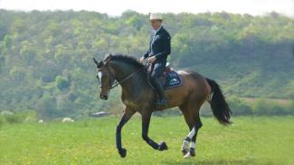 Connecter l'avant-main et l'arrière-main du cheval