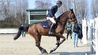 La détente au paddock