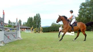 La juste tonicité musculaire du cavalier