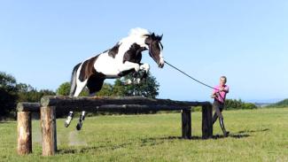 Le saut en longe