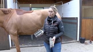 Massage et pansage du cheval avec Marie-Elise, préparatrice physique équin