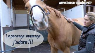 Massage et pansage du cheval avec Marie-Elise, préparatrice physique équin
