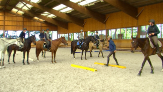 Stage Royal Horse - Michel Robert : Deuxième séance