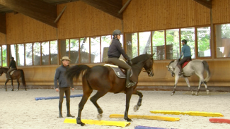 Stage Royal Horse - Michel Robert : Première séance