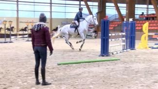 Stage obstacle Pénélope Leprévost et Michel Robert