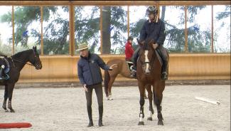 Stage Royal Horse - Michel Robert : Première séance