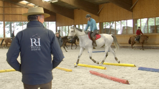 Stage Royal Horse - Michel Robert : Première séance