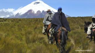 Randonnée à cheval en Equateur