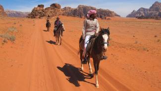 Carnet de voyage : A la découverte des pur-sang arabes de Jordanie