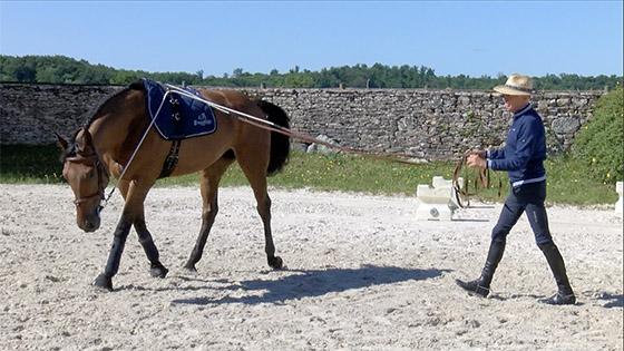 Rênes Fendues Western En Cuir – 7,5 Pieds, équitation, état Correct